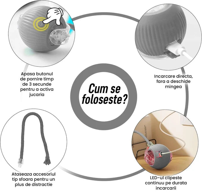 Minge interactivă pentru animăluțe