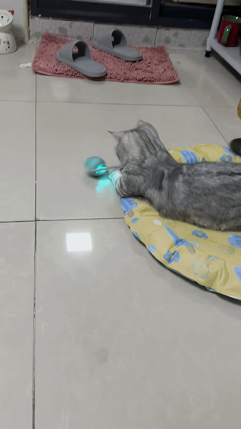 Minge interactivă pentru animăluțe